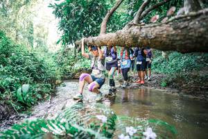 BIB: 
                            <button type="button" onclick="openModal(25478400)" class="btn btn-primary btn-sm float-right btn-popup" data-toggle="modal" data-target=".modal-high-quality">
                        <i class="fas fa-shopping-cart"></i> Add to Cart
                    </button>
                                            <button type="button" onclick="isThisMe(25478400, true)" class="btn btn-success btn-sm float-right btn-popup btn-isme hidden" data-toggle="tooltip" data-placement="bottom" title="นี่คือรูปของคุณใช่ไหม คลิกที่นี่เพื่อเอาเข้าอัลบั้ม">
                        <i class="fas fa-plus"></i> Add to album
                    </button>
                    <button type="button" onclick="isThisMe(25478400, false)" class="btn btn-warning btn-sm float-right btn-popup btn-isnotme hidden">
                        <i class="fas fa-ban"></i> Remove from album
                    </button>